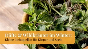 Düfte und Wildkräuter im Winter